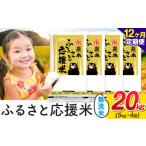 無洗米 12ヶ月定期便 米 熊本 ふるさと応援