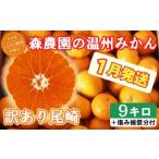 ふるさと納税 果物類 みかん 大分県 杵築市  訳あり品 森農園の温州みかん 尾崎 9kg＋傷み補償分200g ／ ミカン みかん 蜜柑 柑橘 9kg 柑橘類 訳あり フルーツ…