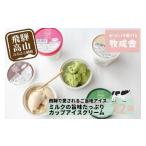 ふるさと納税 菓子 アイス 岐阜県 高山市  牧成舎 飛騨の牛乳屋が作る ミルクの旨味たっぷり カップアイスクリーム 12個入り（バニラ／抹茶／いちご／ラムレー…
