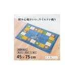 インテリア 玄関マット シエラ 45×75cm