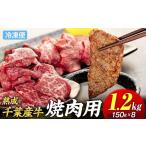牛肉 焼肉 バーベキュー AH02-022