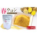 人参 大根 他根菜 ウコン 粉末 100g