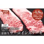 常陸牛 サーロインステーキ 400g