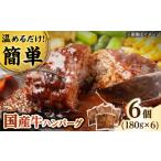 ふるさと納税 肉 ハンバーグ 滋賀県 栗東市 国産牛ハンバーグ 6個 栗東市 / 株式会社近江フーズ BIBU003