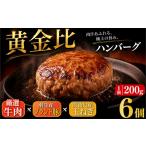 肉 ハンバーグ 大判ハンバーグ 牛肉 豚肉 あいびき 1.2kg