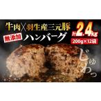 ふるさと納税 肉 ハンバーグ 埼玉県 羽生市 ハンバーグ 2.4kg 牛肉 豚肉 合挽き 冷凍 小分け 真空 個包装 大容量 大きめ 肉汁 たっぷり 保存料 不使用 無添加 …