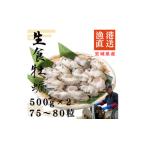 ふるさと納税 牡蠣 生牡蠣 宮城県 - 宮城県牡鹿半島産 鮮生牡蠣 500g×2 1550892