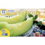 ふるさと納税 メロン メロン青肉 山形県 鶴岡市 令和7年産先行予約 泉屋商店の庄内砂丘アンデスメロン 2玉 K-717