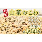 米 パン 特製 山菜おこわ 170g