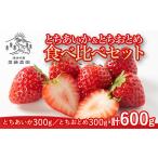 ふるさと納税 いちご 栃木県 塩谷町 とちあいか約300g&とちおとめ約300g 計約600g 北海道・沖縄・離島への配送不可 2025年12月上旬〜2026年4月下旬頃に順次…
