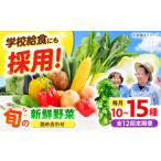 セット 詰合せ 全12回 厳選 旬を味わう高槻野菜おまかせ詰…