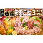 鶏肉 モモ 産若鶏まるごと3.05kgセット