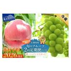 ふるさと納税 ぶどう マスカット 山梨県 富士吉田市  2026年発送 先行予約 ミニマム 2回定期便 厳選 旬のフルーツ定期便（桃3玉・シャインマスカット1房） 2回…