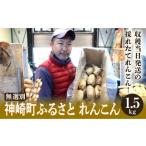 人参 大根 他根菜 れんこん 無選別 1.5kg
