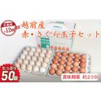 卵 鶏 烏骨鶏等 定期便12回 越前産赤玉子