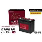 カー用品 AQUADREAM PLATINUM