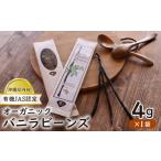 菓子 内初 有機JAS認定 オーガニック バニラビーンズ 4g×1袋