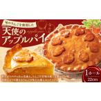 焼菓子 チョコレート アップルパイ AS-478