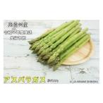 野菜類 アスパラガス 9-J31 南信州産