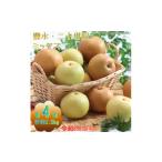 梨 9-J35 南信州産 豊水 20世紀 ミックス 約2.5kg