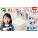 美容 酪王 生乳 ヨーグルト 加糖 400g