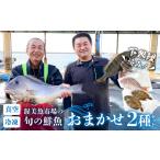 旬の鮮魚等 渥美魚市場の旬の鮮魚 おまかせ2種セット