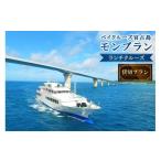 入場券 優待券 FY008 海中展望型客船