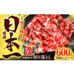 牛肉 ロース 長崎和牛 切り落とし 600g