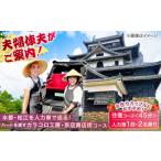 体験チケット 人力車 女性やカップルに 人力車でハートを探…