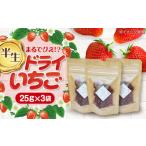 ふるさと納税 乾物 愛知県 愛西市 いちご 農家の手作り ドライ 苺 ドライフルーツ イチゴ フルーツ 愛西市 ／ しのだ農園 AECE001