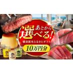 ふるさと納税 カタログ 神奈川県 横須賀市  あとから選べる 横須賀市 ふるさとギフト 10万円分 牛肉 葉山牛 プリン スイーツ 干物 マグロ 米 定期便 神奈川 横…