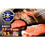 牛肉 ステーキ 12回定期便 長崎和牛 ステーキ用部位×12回定…