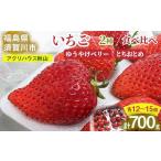 ふるさと納税 いちご 福島県 須賀川市 先行予約 いちご アグリハウス秋山 食べ比べ「ゆうやけベリー」「とちおとめ」 各12〜15個 F7X-0215