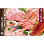 ふるさと納税 牛肉 ステーキ 鹿児島県 枕崎市 定期便3回配送 黒毛和牛・黒豚&うなぎ DD5-0001 _ 肉 豚肉 牛肉 A5等級 黒毛和牛 サーロインステーキ うな…