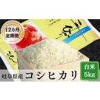 米 令和7年産 12か月定期便 岐阜ハツシモ5kg 5kg