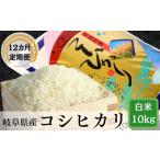 米 令和7年産 12か月定期便 岐阜ハツシモ10kg 10kg×1袋