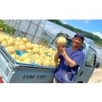 ショッピングふるさと納税 メロン ふるさと納税 メロン メロン青肉 北海道 中富良野町  2026年発送 遠藤ファームの中富良野メロン青肉　大玉 2玉（計3.2kg以上）
