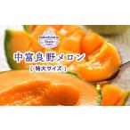 ふるさと納税 メロン メロン赤肉 北海道 中富良野町 2025年発送 北海道赤肉メロン 特大1玉2kg以上