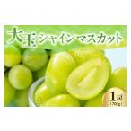 ぶどう マスカット 令和8年産 大玉 シャインマスカット
