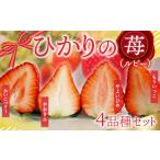 ふるさと納税 いちご 山口県 光市 E014 ひかりの苺 （ルビー）4品種セット 1kg 2026年1月から4品種そろい次第順次発送 1000g やよいひめ おおきみ おいCベリー…