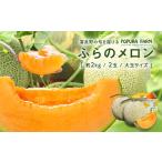 ふるさと納税 メロン メロン赤肉 北海道 中富良野町  2026年発送 ポプラファーム 富良野メロン　大玉2玉（計4kg以上　秀品）
