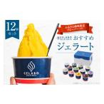 ふるさと納税 アイス・ヨーグルト ジェラート 北海道 札幌市 《札幌市ふるさと納税 限定 フレーバー入り 》 ジェラート 12個 セット 食べ比べ ショコラ ティラ…