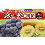 ぶどう フルーツ定期便 2回 Aセット ピオーネ 約1.2kg