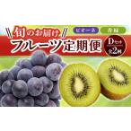 みかん 柑橘類 フルーツ定期便 2回 Dセット