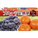 果物類 フルーツ定期便 2回 Eセット ピオーネ 約1.2kg