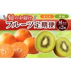 果物類 フルーツ定期便 2回 Mセット 香緑 約3kg