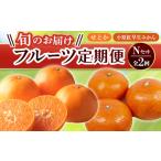 果物類 フルーツ定期便 2回 Nセット 小原紅早生みかん 約4.…