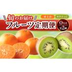 果物類 フルーツ定期便 2回 Oセット キウイっこ 約1.8kg