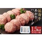ふるさと納税 肉 ハンバーグ 熊本県 菊池市 熊本県産 延寿牛 あか牛 ハンバーグ 約150g×10個 合計約1.5kg 牛肉 肉 お肉 にく 赤牛 あかうし 国産
