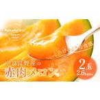 ふるさと納税 メロン メロン赤肉 北海道 中富良野町 2025年発送 中富良野 赤肉メロン 2玉(計2.6kg〜)